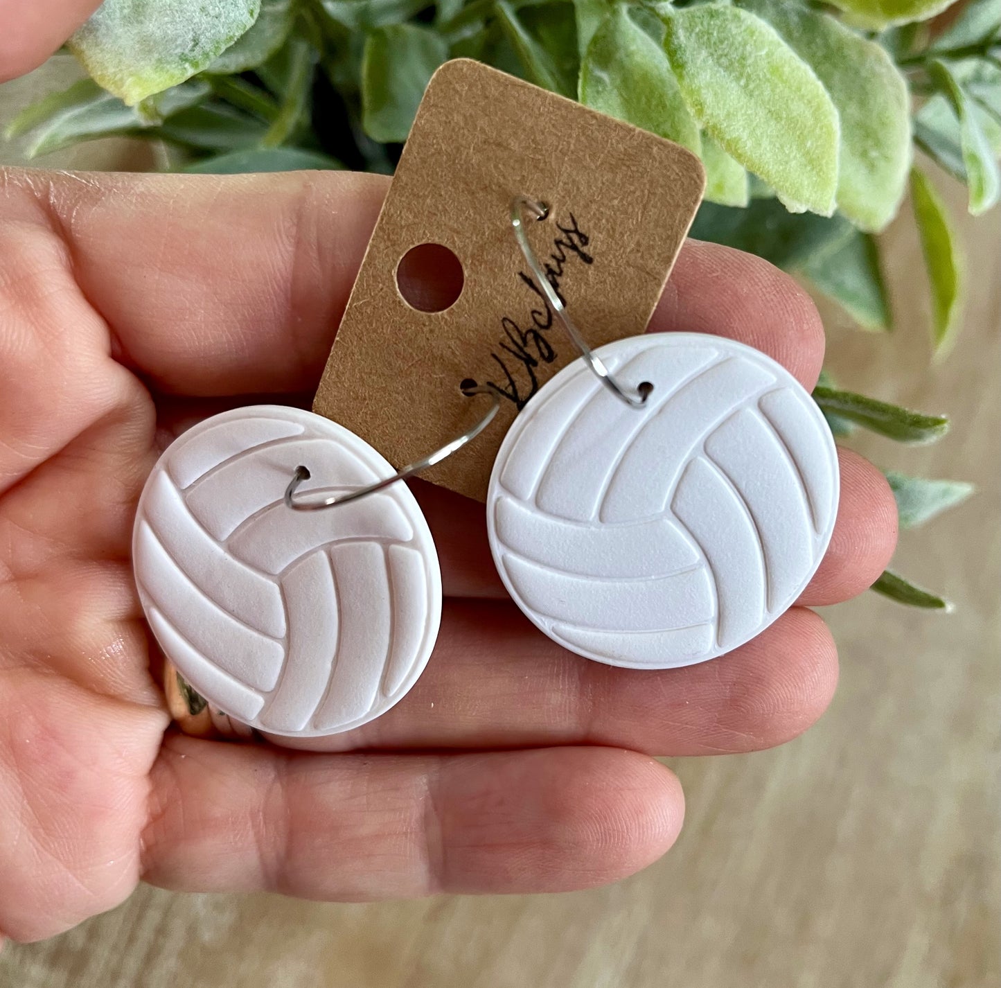Volleyball Hoops or Fishhooks